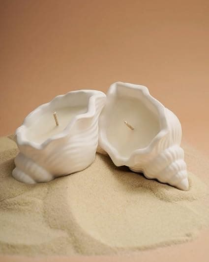 Concrete Sea Shell Jar Candle | Velvet Rose Aroma | 12+Hours Burn Time | Perfect for Home Decor & Gifting (D)