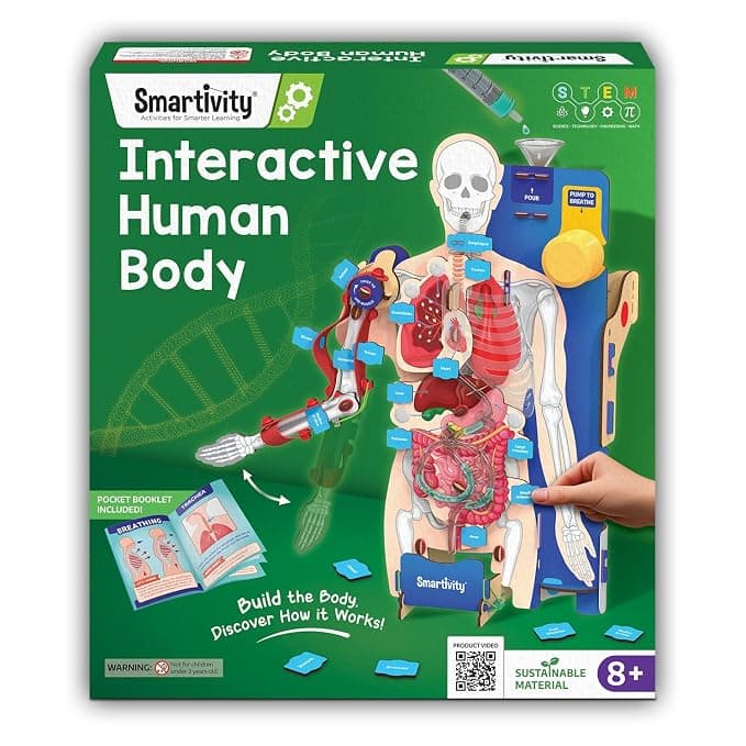 Smartivity Interactive Human Body Model for Kids 8-14 Years I Dynamic Body Parts & Organs + Learning Booklet | Birthday Gift for Boys & Girls | Educational Toy for 8,9,10,11,12,13,14 Years
