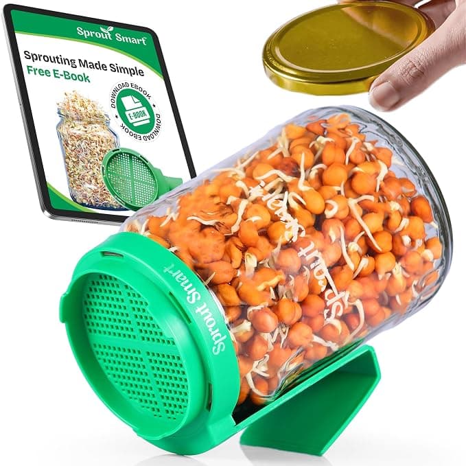 Sprouts Maker Glass Jar – 720ml Durable & Reusable Sprouter for All Seeds and Beans, BPA-Free with 300-Hole Mesh Lid for Airflow, Odor-Free, Easy Drainage, and Hygienic Glass Design – Green